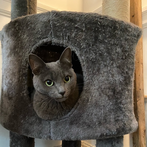 Meet your Posher, Mika - Picture 4 of 4